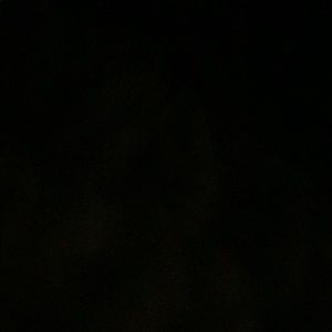 Meet your Posher, Jake